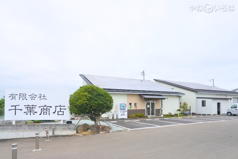 有限会社千葉商店