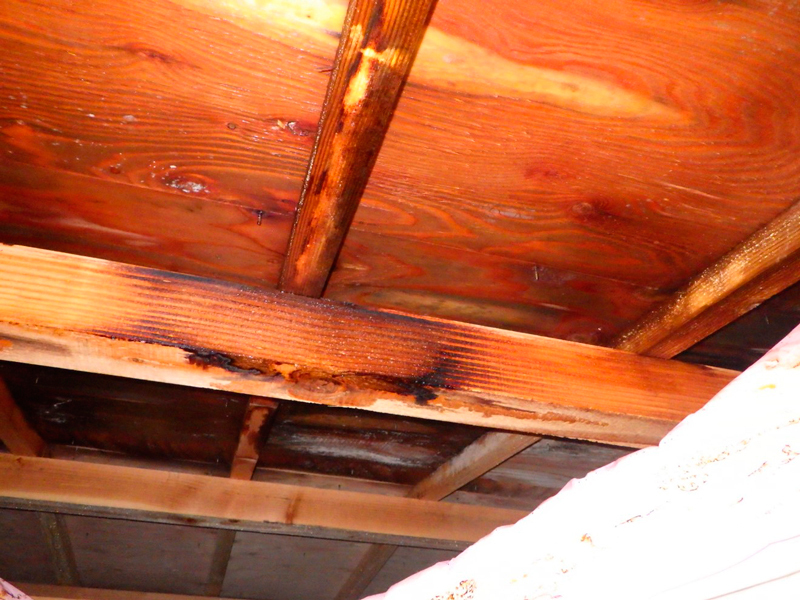 小屋裏が結露した事例