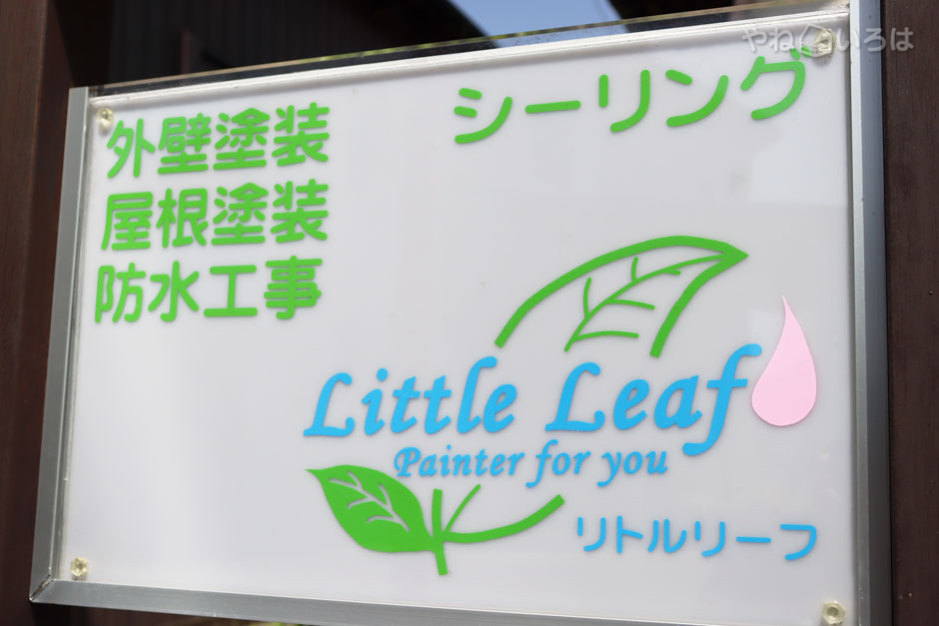 Little Leaf